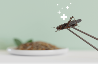 INSECTA, a new project on food supplements in Belgium