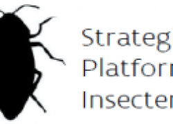 Stay informed on future insect events by the Flemish Strategic Platform Insects (SPI)